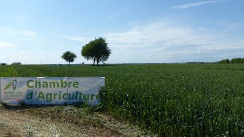 © A. Cassigneul/GFA © A. Cassigneul/GFA